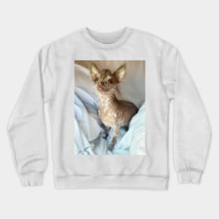 Cutest angel Crewneck Sweatshirt